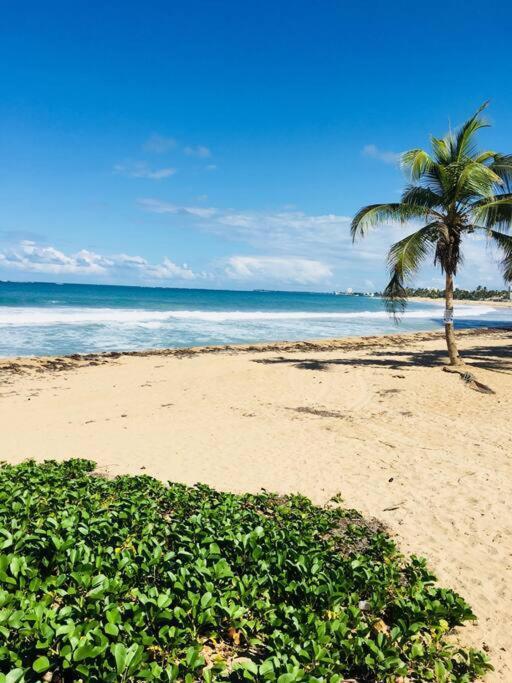 Apartamento Big Place 2 Bedroom 3 Beds, Wf, Tv, Balcony & Parking San Juan